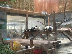 -西安秦岭野生动物园