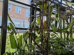 -北马山庄植趣咖啡