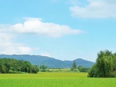 -良渚古城遗址公园
