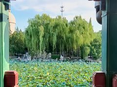 -莲池书院博物馆