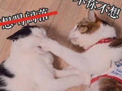 -德兴馆(山西南路店)