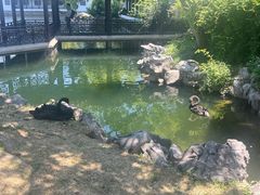 -无锡蠡湖国家湿地公园-蠡园
