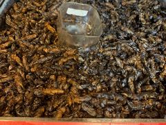 -昆虫窝子·特色云南菜(拓东路总店)