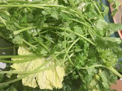 -阿古蒙·传统涮火锅自助(三台子万象汇店)