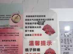 -老袁家蜜桃农场·阳山水蜜桃