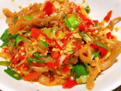 鸭掌筋-壹盏灯(惠农店)