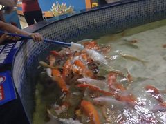 -烟台海昌鲸鲨海洋公园