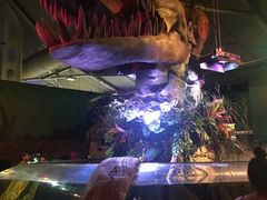 -悉尼海洋生物水族馆