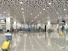 -陈鹏鹏潮汕菜(宝安机场T3航站楼店)