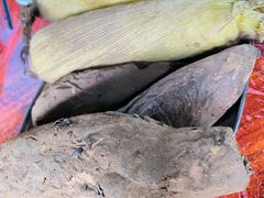 泥烩红薯-御霞苑泥烩鸡休闲农庄