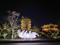 -朵朵开素食餐厅(后宰门街店)