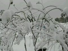 -中国人民大学游泳馆