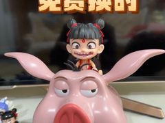 -九龙湖公园