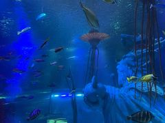 -沈阳海洋探索中心