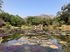 -云溪植物园