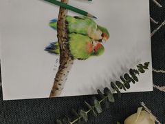 -八哥美术·成人美术画室(总校区)