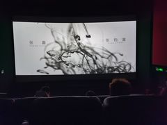 -万达影城(中茂城IMAX店)