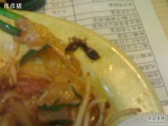 一碟炒粉有两只小强-玉椰林甜品店(创始店)