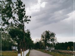 -东郊湿地公园