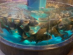 -魏铭鱼头捞饭(晋阳路店)