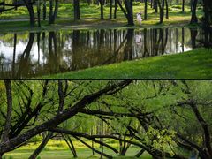 -上海共青森林公园