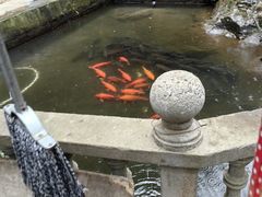 -途中饭店(开化店)