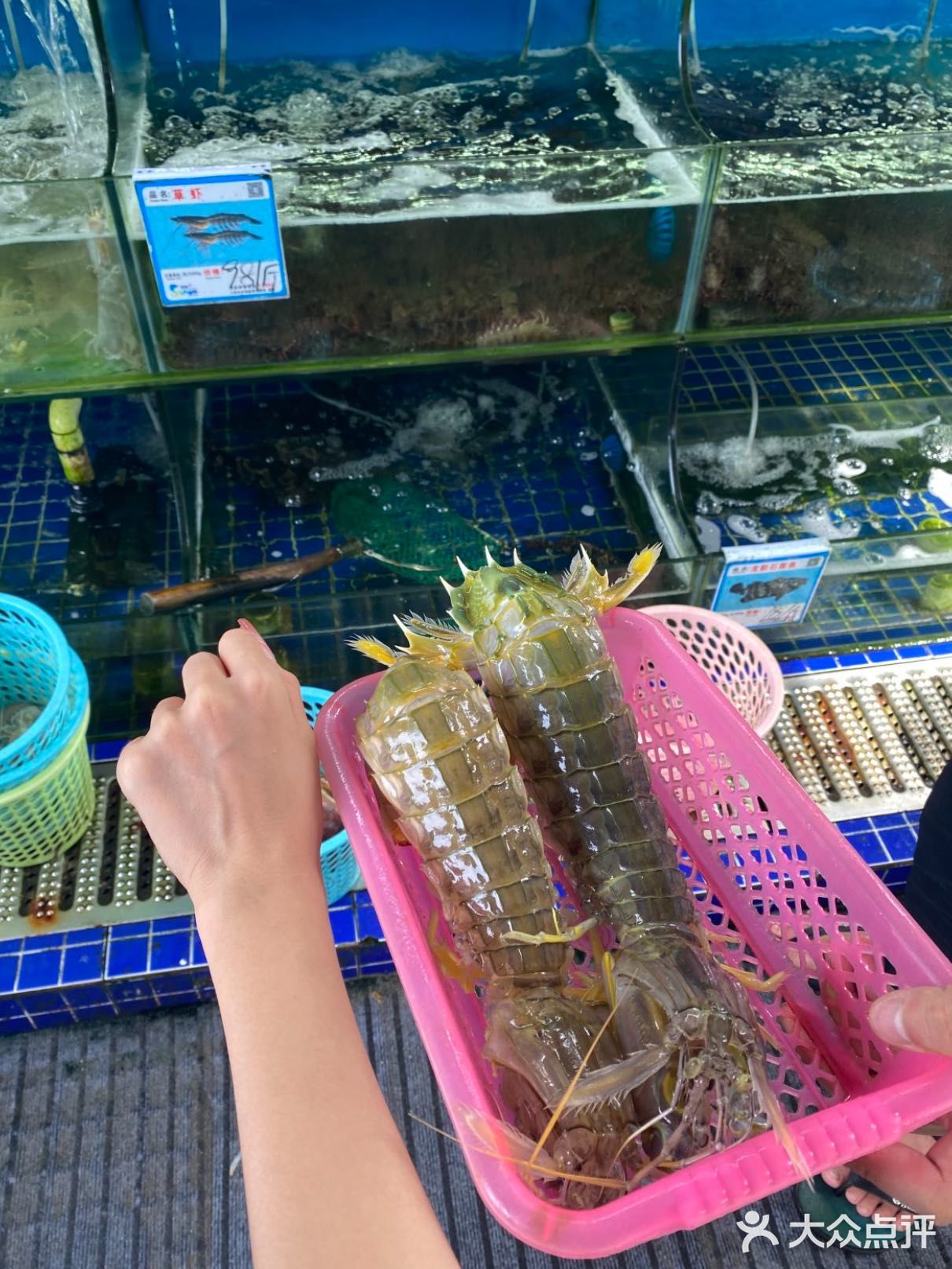 三亚值得n刷的店｜这家海鲜🦞太好吃啦❗️❗️