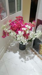 -艺米阳光Hair Salon