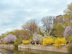 -元大都城垣遗址公园