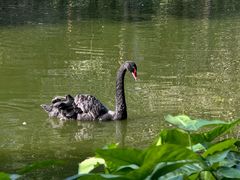 -海南热带野生动植物园