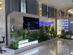 -深圳美莱医疗美容医院