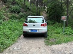 -五龙城郊森林公园