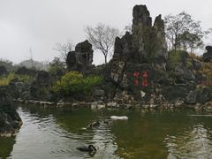 -千岛湖石林