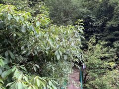 -藏龙百瀑风景区