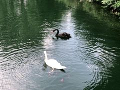 -长白岛森林公园