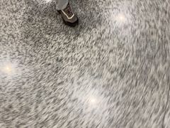 -磁浮交通科技馆