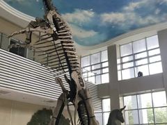 -湖南省地质博物馆