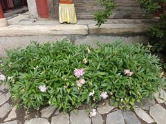 -北京上方山国家森林公园