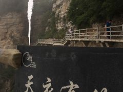 -空中草原