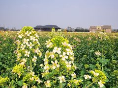 -中国天府农业博览园