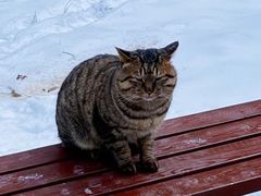 -终南山南五台景区