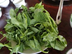 -朝伟清真铜瓢牛肉馆(三十年老·店)
