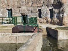 -哈尔滨北方森林动物园