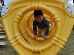 -上海长兴岛郊野公园