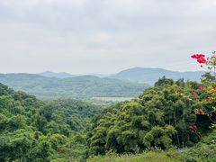 -广州市帽峰山景区