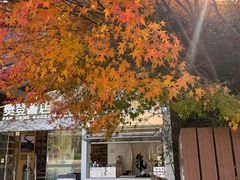 -昆山城市生态森林公园