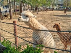 -大连森林动物园