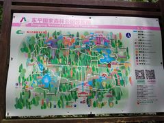 -东平国家森林公园