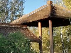 -塞罕坝国家级自然保护区