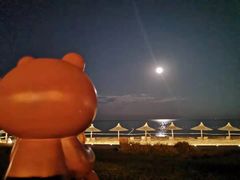 -秦皇岛阿尔卡迪亚滨海度假酒店